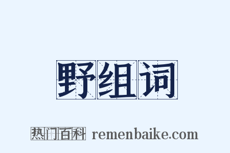 野组词是什么意思的图片